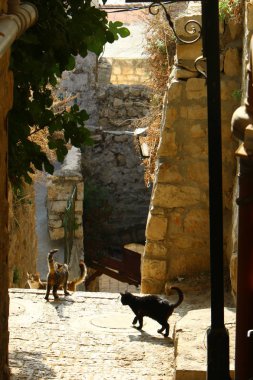 Kutsal bir şehri Kuzey Bölgesi İsrail'in, üst Celile dağlarında bulunan Yahudiler için safed, 