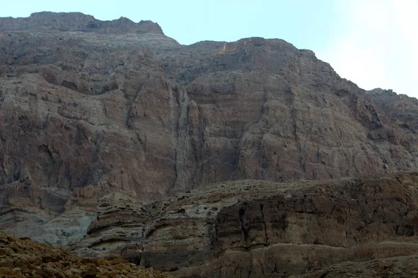 Desierto Judea Desierto Costa Oeste Del Mar Muerto Israel —  Fotos de Stock