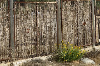 Bir çit bir yabancı topraklarda kenarlığını işaretlemek için kullanılan bir yapıdır.  