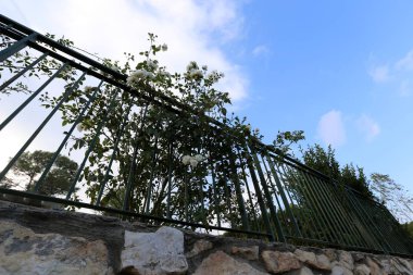 Bir çit bir yabancı topraklarda kenarlığını işaretlemek için kullanılan bir yapıdır.  