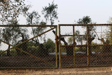 Bir çit bir yabancı topraklarda kenarlığını işaretlemek için kullanılan bir yapıdır.  