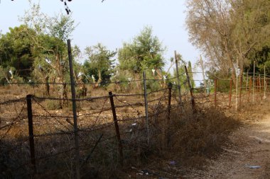 Bir çit bir yabancı topraklarda kenarlığını işaretlemek için kullanılan bir yapıdır.  