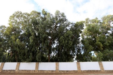 Bir çit bir yabancı topraklarda kenarlığını işaretlemek için kullanılan bir yapıdır.  