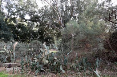 Bir çit bir yabancı topraklarda kenarlığını işaretlemek için kullanılan bir yapıdır.  