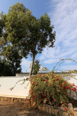 Bir çit bir yabancı topraklarda kenarlığını işaretlemek için kullanılan bir yapıdır.  