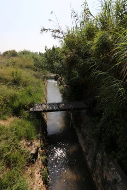 Köprü - bir engel dikilmiş bir yapay yapısı 