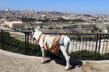 Jerusalem İsrail, Orta Doğu'daki bir şehir devletinin başkentidir. 