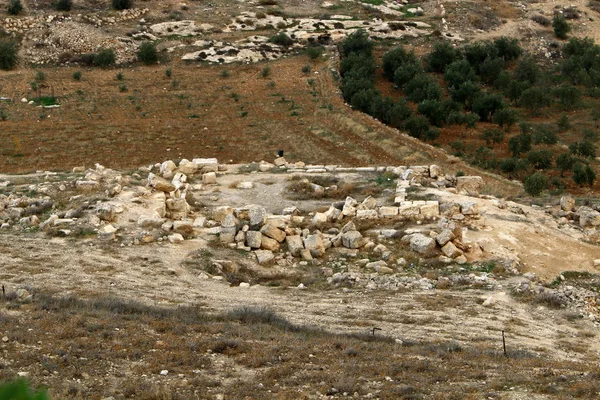 Herodion Judean Desert Güneyinde Jerusale Antik Bir Kaledir — Stok fotoğraf