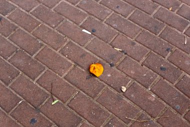 Kaldırım sokak şehir iki tarafında bulunan bir yaya geçit olduğunu. 