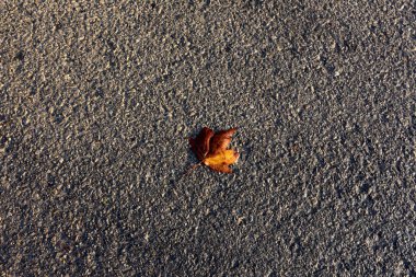 Kaldırım sokak şehir iki tarafında bulunan bir yaya geçit olduğunu. 