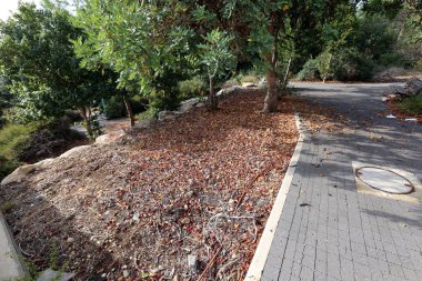 Kaldırım sokak şehir iki tarafında bulunan bir yaya geçit olduğunu. 