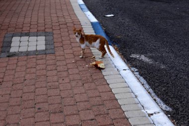 Kaldırım sokak şehir iki tarafında bulunan bir yaya geçit olduğunu. 