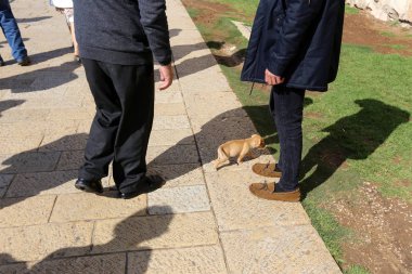 Kaldırım sokak şehir iki tarafında bulunan bir yaya geçit olduğunu. 