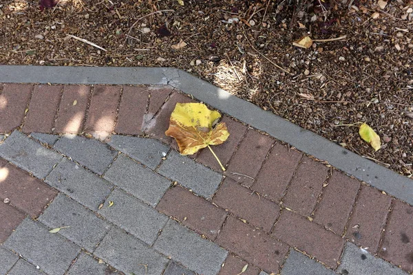 Bestrating Een Voetpad Gelegen Aan Zijden Van Straat Stad — Stockfoto