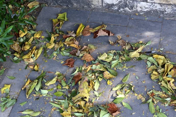 Bestrating Een Voetpad Gelegen Aan Zijden Van Straat Stad — Stockfoto