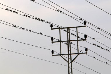 Elektrik telleri elektrik olan destek 