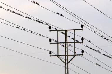 Elektrik telleri elektrik olan destek 