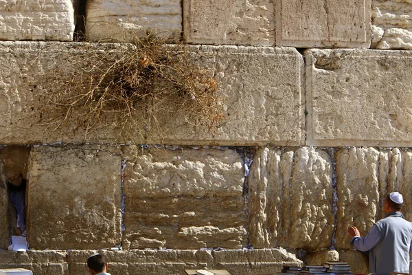 エルサレム旧市街の神殿の丘に嘆きの壁 — ストック写真