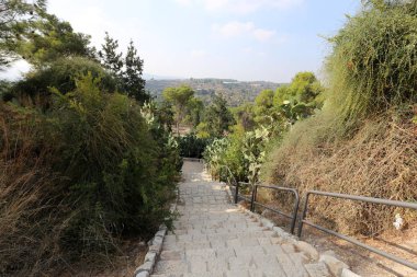 Eski Şehir Parkı merdiven 