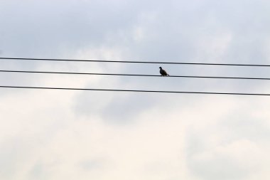 İnşaat ve mimari büyük bir şehir sokaklarında geometrik şekiller 