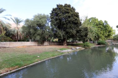 nehir kıyısında kreş Hamat Gader Kuzey İsrail timsahlar yaşıyor 