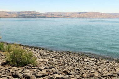 shore of Lake Kinneret, Lake Tiberias - a freshwater lake in northeastern Israel  clipart