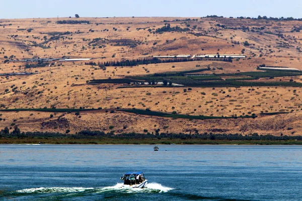 Shore Lake Kinneret Lake Tiberias Freshwater Lake Northeastern Israel — Stock Photo, Image