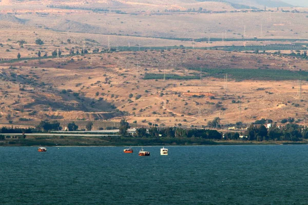 Orilla Del Lago Kinneret Lago Tiberíades Lago Agua Dulce Noreste — Foto de Stock