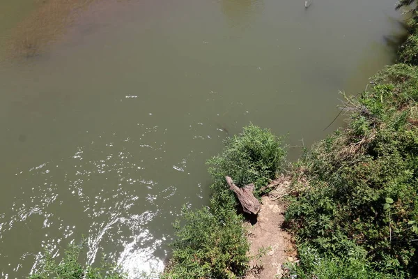 Orilla Del Lago Kinneret Lago Tiberíades Lago Agua Dulce Noreste — Foto de Stock