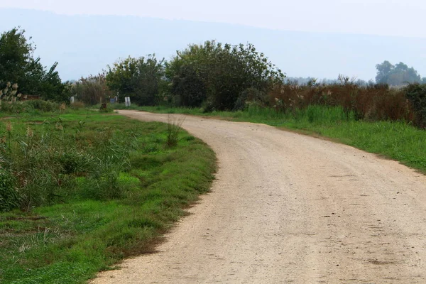 Camino Adentra Distancia — Foto de Stock