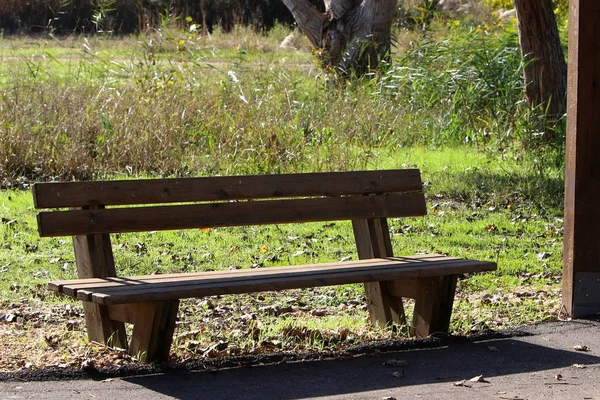 Een Bankje Staat Een Open Stadspark Noord Israël — Stockfoto