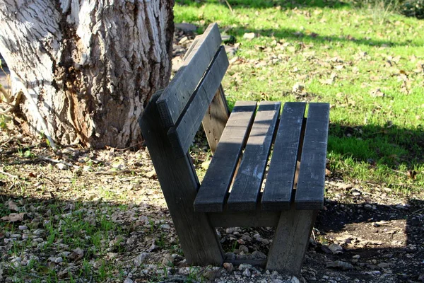 以色列北部一个开放城市公园的长凳 — 图库照片
