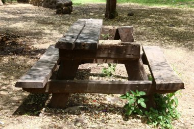 Kuzey İsrail bir açık şehir parkında bir Bank standları 