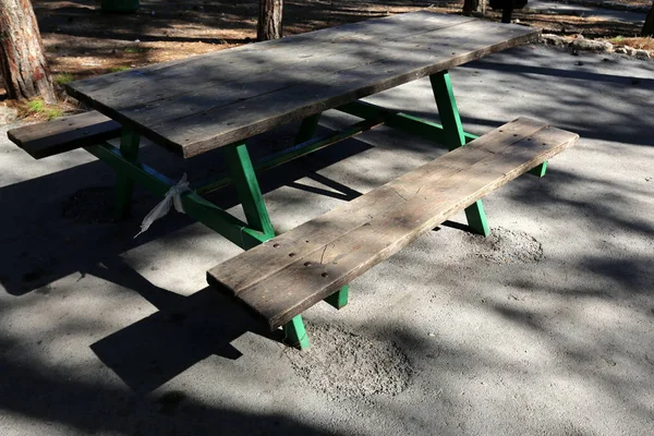 Bench Stands Open City Park Northern Israel — Stock Photo, Image