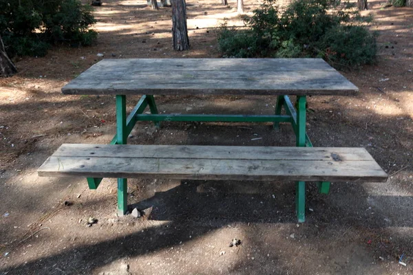 Banc Dresse Dans Parc Urbain Ouvert Dans Nord Israël — Photo