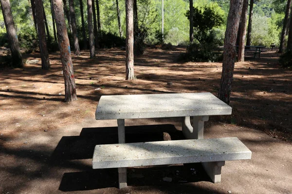 Bench Stands Open City Park Northern Israel — Stock Photo, Image