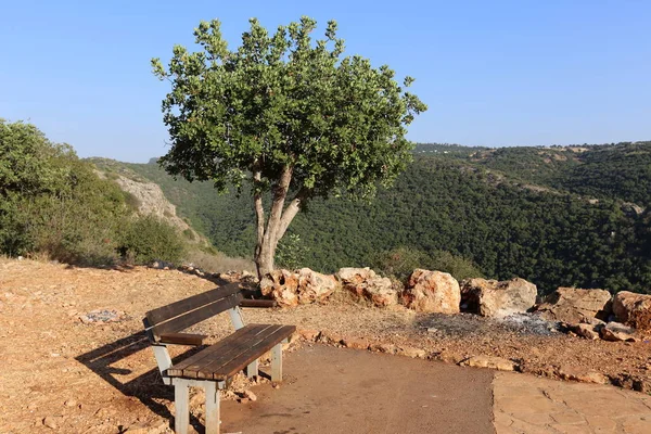 イスラエル北部の無防備都市公園でベンチに立っています — ストック写真