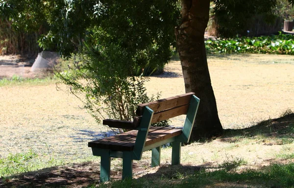 Bänk Står Öppen Stadspark Norra Israel — Stockfoto