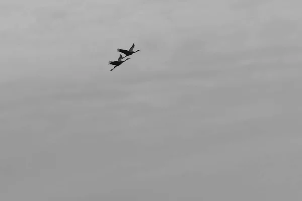 Het Zicht Het Aardoppervlak Lucht Hangt Van Tijd Van Dag — Stockfoto