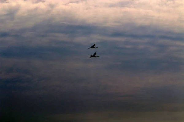 Der Blick Auf Den Irdischen Himmel Hängt Von Tageszeit Jahreszeit — Stockfoto