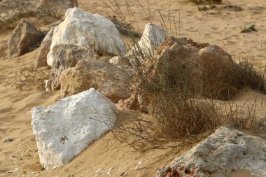 Akdeniz kıyısında taş yalan 