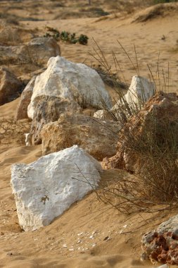 Akdeniz kıyısında taş yalan 