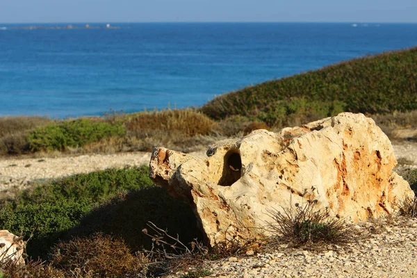 Pietre Trovano Sulle Rive Del Mediterraneo — Foto Stock