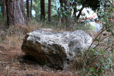 Kuzey İsrail bir açık şehir parkında taş yalan 