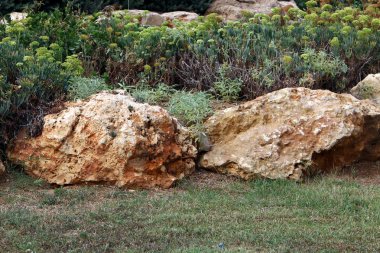 Kuzey İsrail bir açık şehir parkında taş yalan 