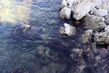 Akdeniz'de İsrail devletinin kuzey kıyısında 