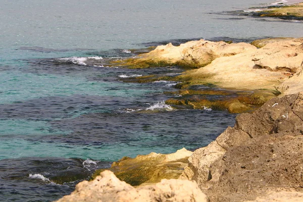 Akdeniz'de İsrail devletinin kuzey kıyısında 