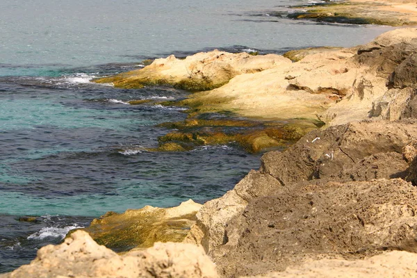 Akdeniz'de İsrail devletinin kuzey kıyısında 