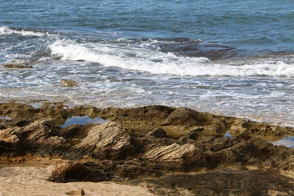 Akdeniz'de İsrail devletinin kuzey kıyısında 