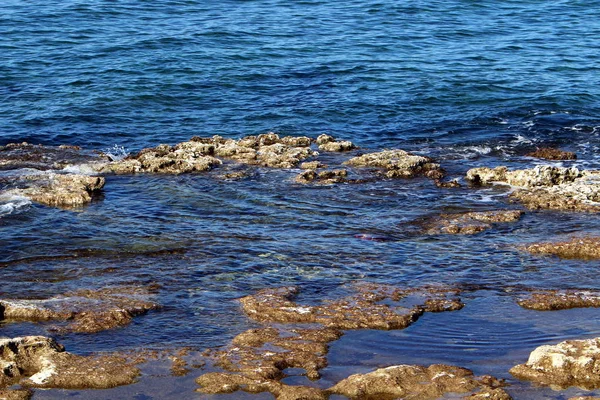 Pobřeží Středozemního Moře Severu Státu Izrael — Stock fotografie